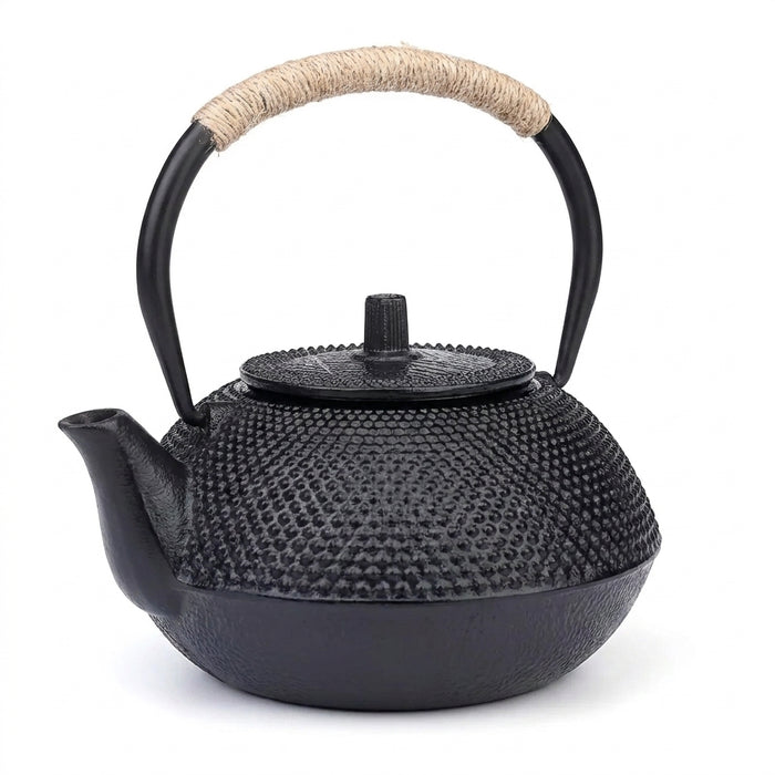 Cast Iron Teapot — Japanese-style Kettle 300/600/900/1200ml with 304 Steel Infuser